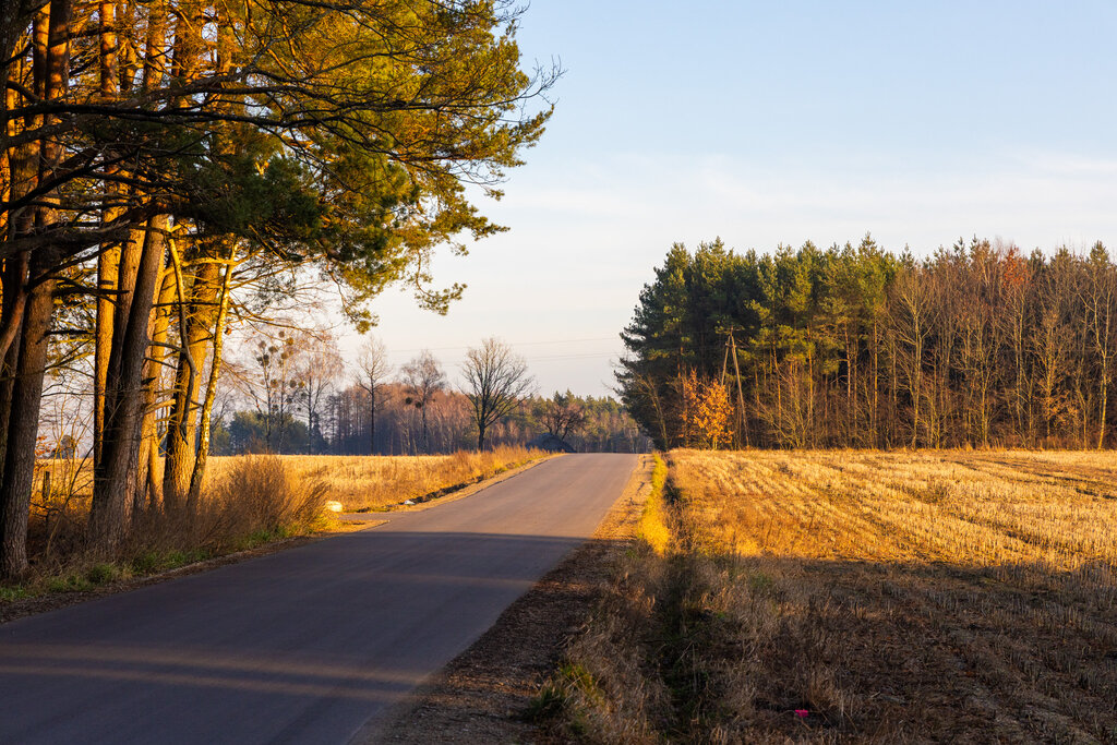 Droga Skarszów Górny (1)